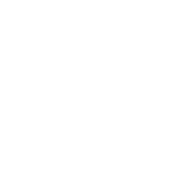 Alliance Concept